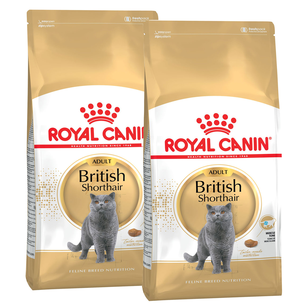 Роял канин для кошек британцев. Royal Canin British Shorthair 4 кг. Royal Canin Британская короткошерстная. Роял Канин Бритиш 13 кг. Корм Royal Canin для британских короткошерстных кошек.