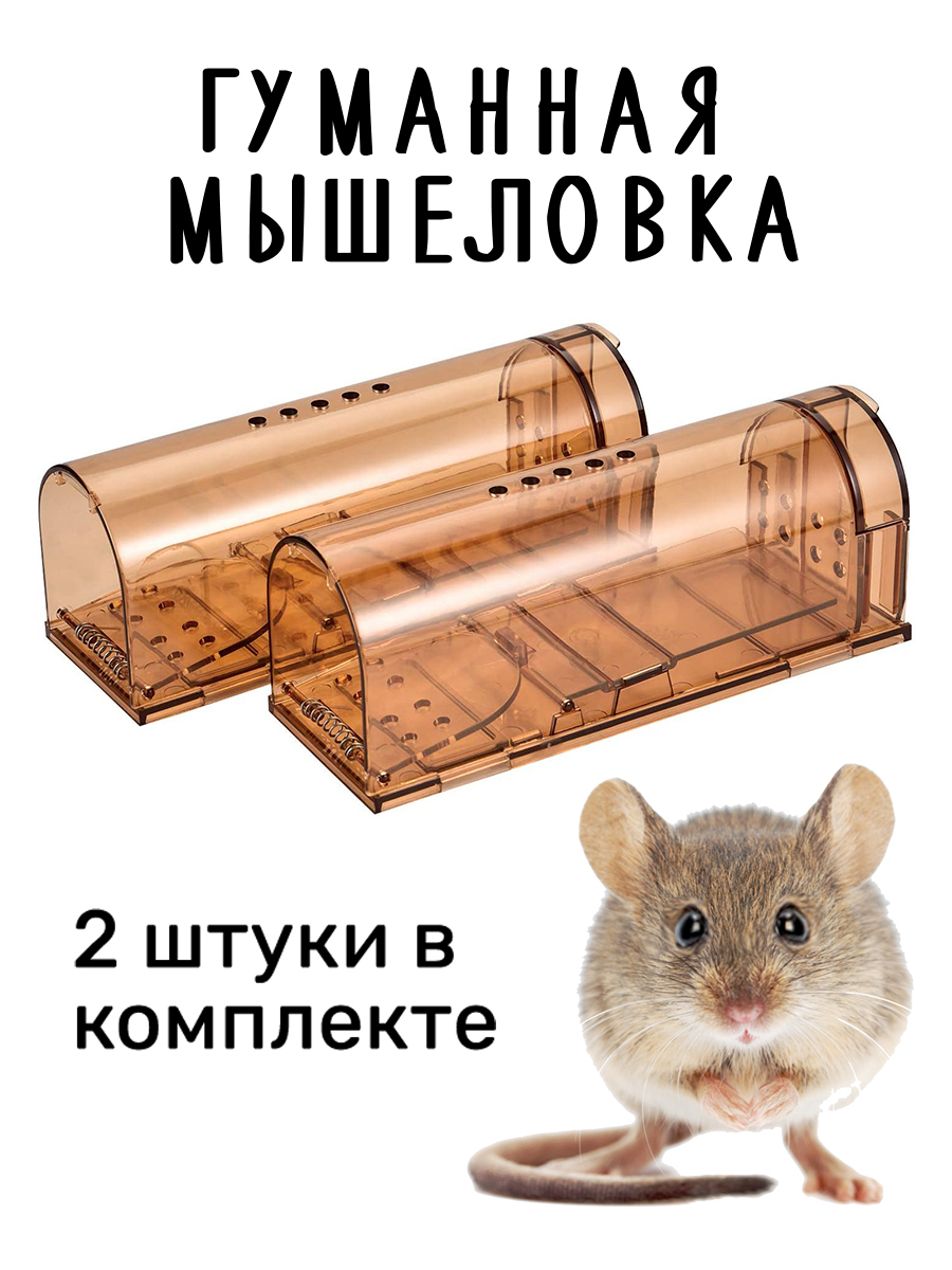 Ловушка для мышей своими руками: виды самодельных капканов