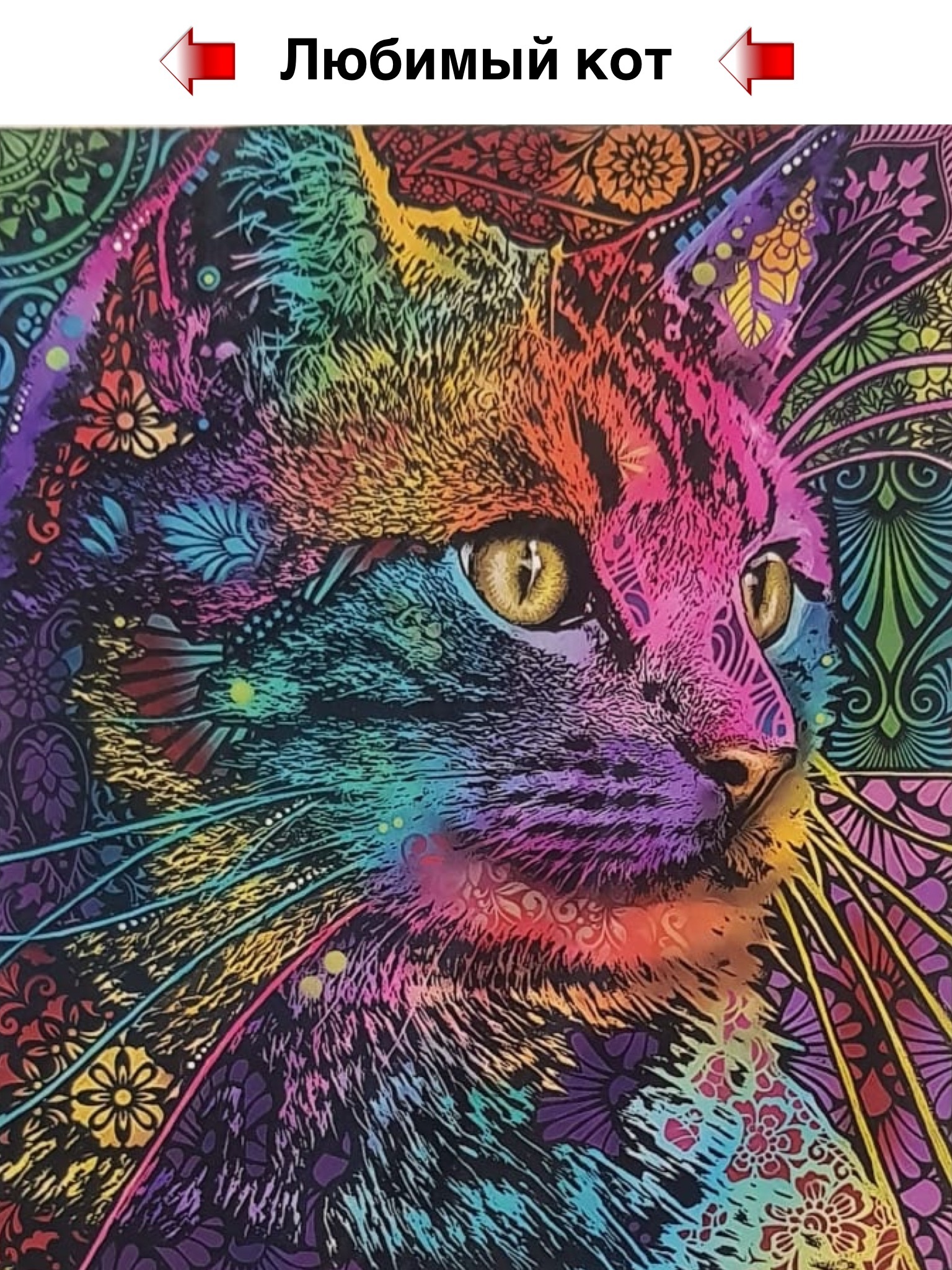 Colorful cat