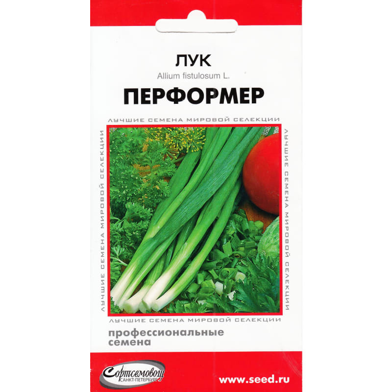 Суперсладкий Лук Семена Купить В Спб