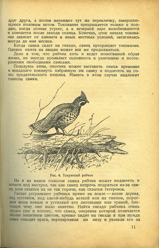 Дичь читать. Охота на пернатую дичь книга. Книга о дичи для охотников. Книга охота на рябчиков. Охота на Ямале на пернатую дичь книга.