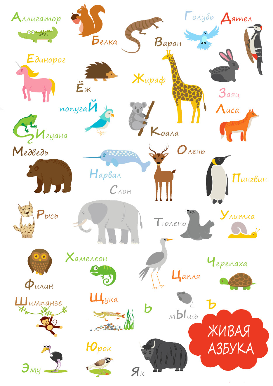 Как назвать животных именами. Животные на английском для детей. Названия животных на английском. Придумать название животного. Дикие животные.