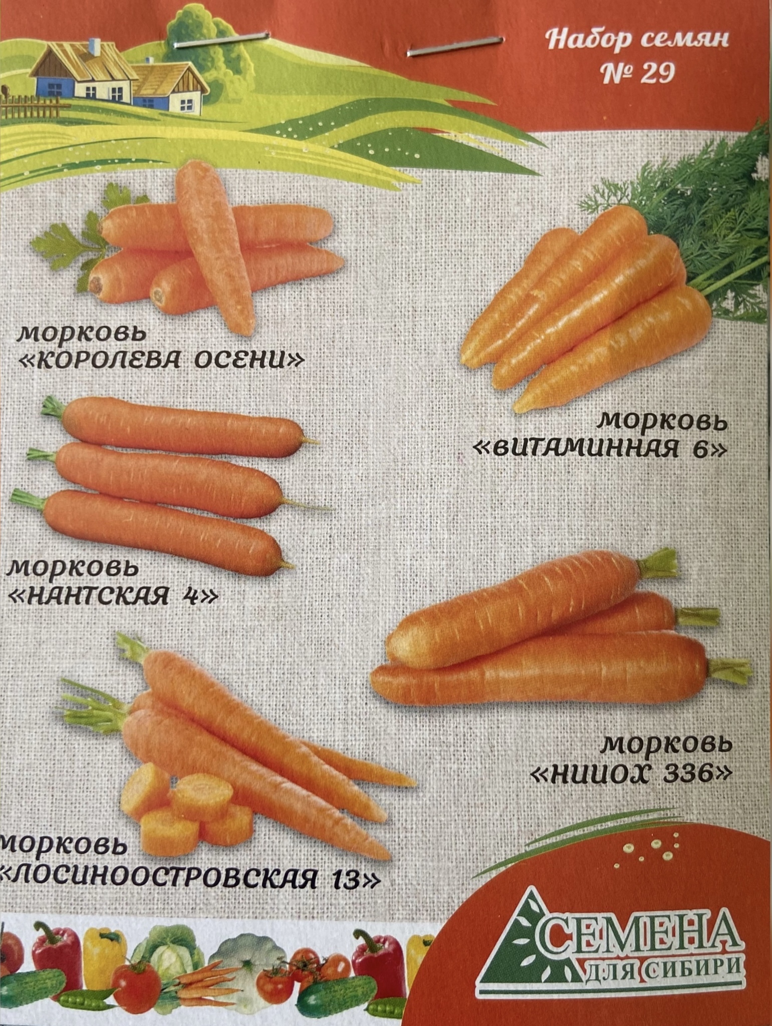 Семена Моркови Берлин Купить Новокузнецк