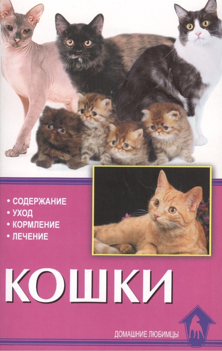 Содержание кошки. Содержание кошек. Книга про содержание кошек. Справочник о кошках. Книги о кошках уход и содержание.