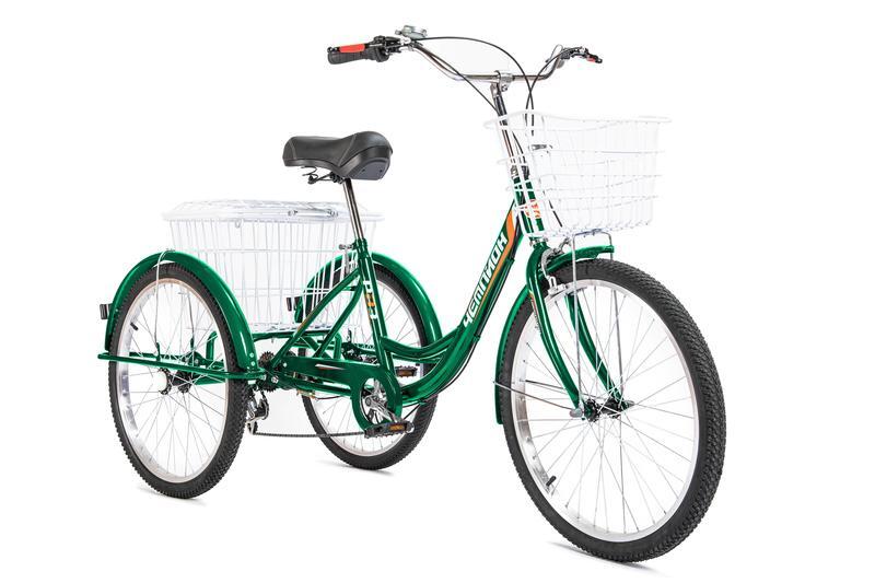 Электровелосипед рвз чемпион 24. Электровелосипед рвз чемпион 24. Рвз чемпион rvz hz 01 чемпион 24. Велосипед рвз чемпион 24 6 скоростей. Велосипед рвз чемпион 24.