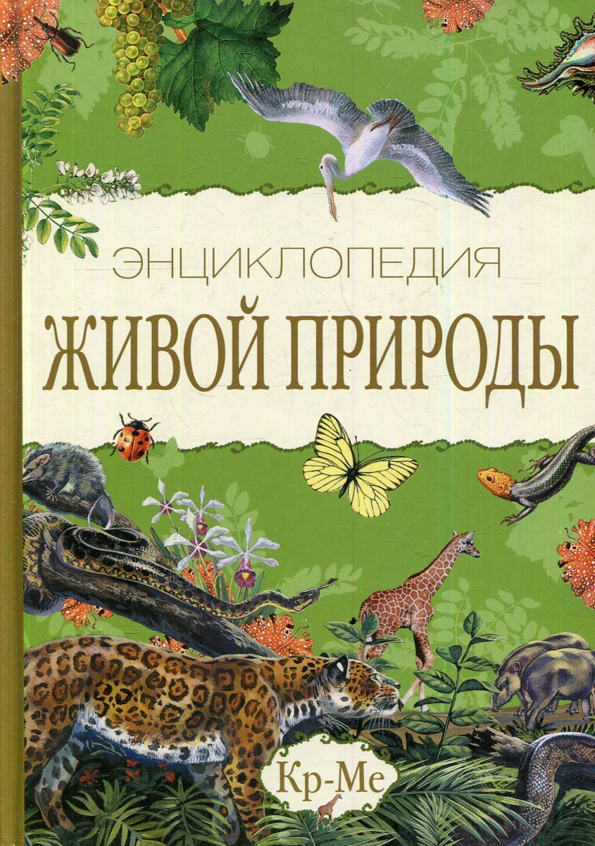 Энциклопедия живые картинки