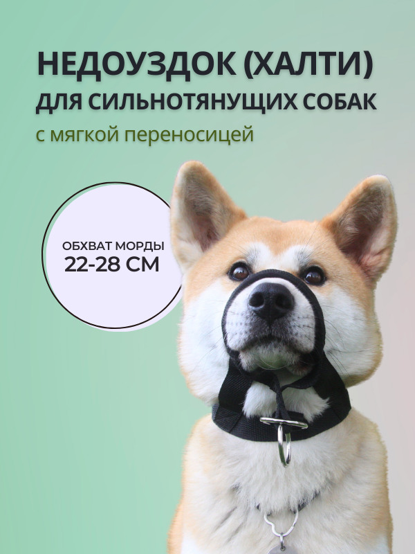 Недоуздок Халти Для Собак Купить В Москве