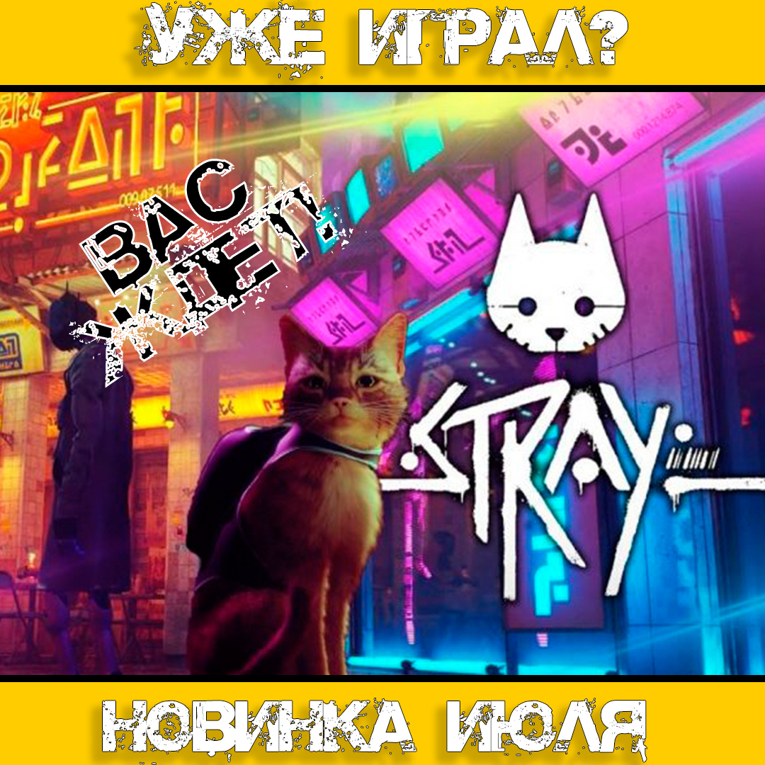 Игра Stray На Playstation 4 Купить