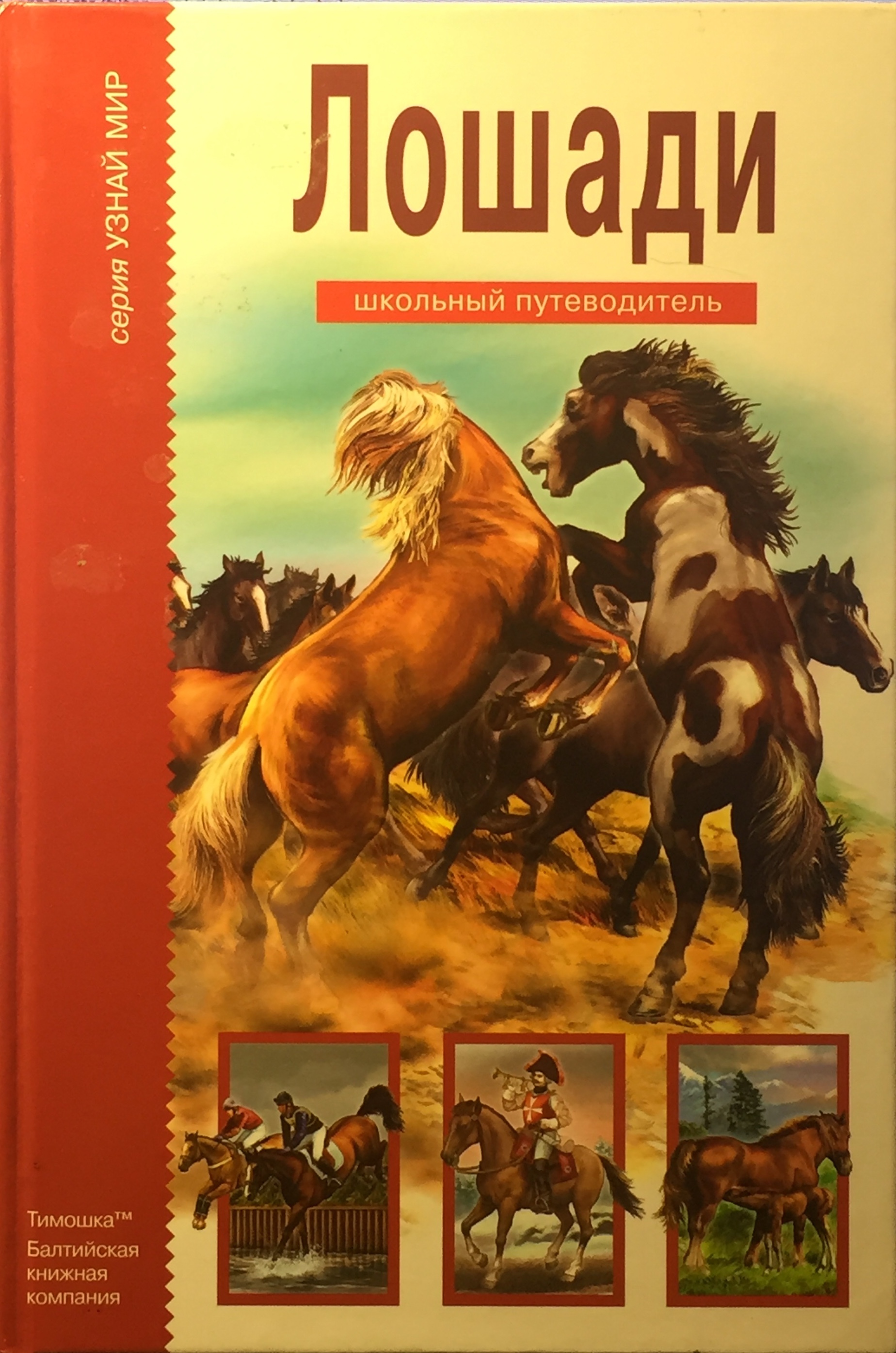 Книги верховая. Лошади. Школьный путеводитель.. Книги про лошадей. Книга о конях для детей.