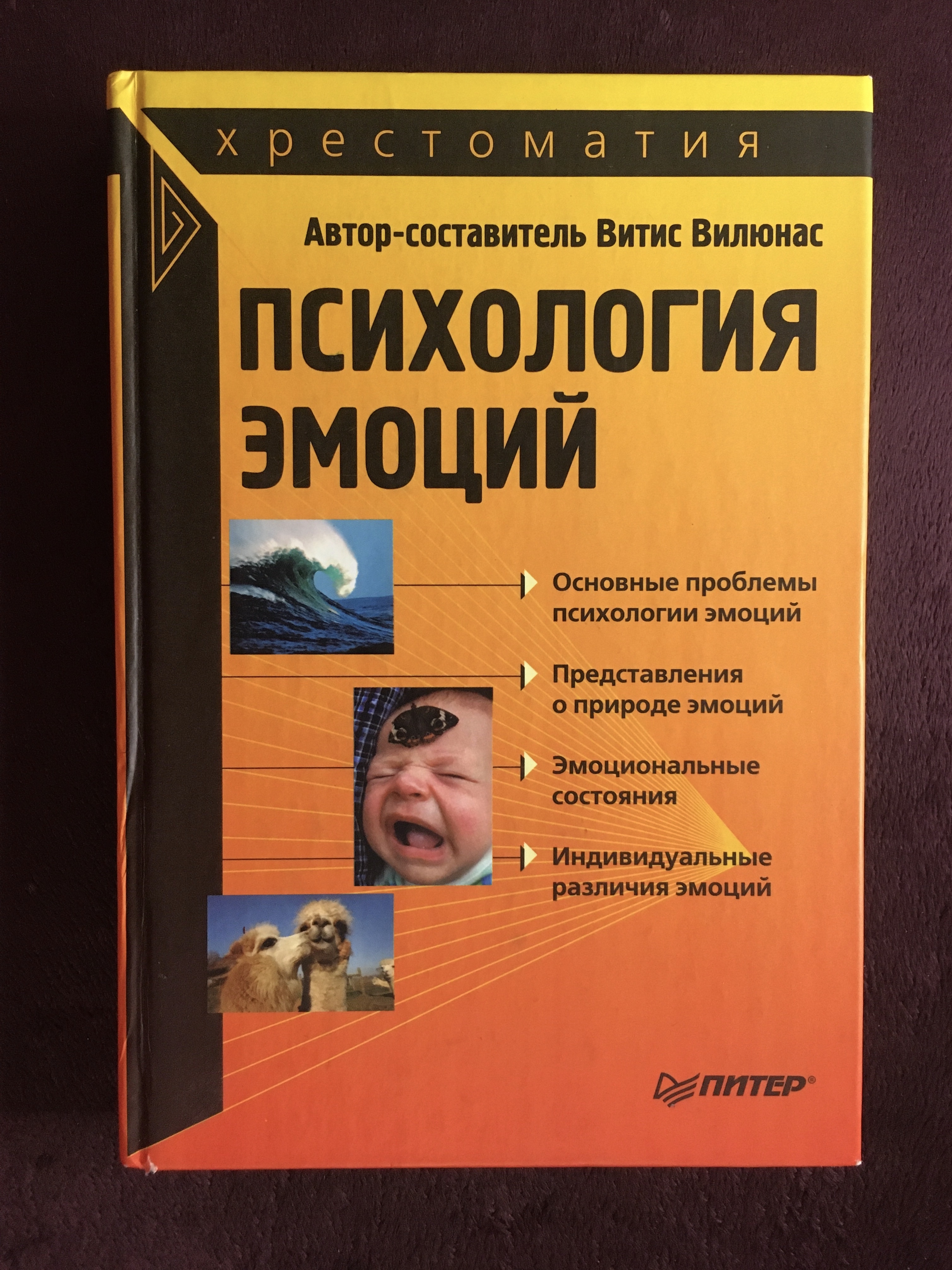 Автор эмоций. Витис Вилюнас психология эмоций. Психология эмоций. В.К. Вилюнас, ю.б. Гиппенрейтер. Психология эмоций книга Вилюнас. Вилюнас в.к. психология эмоциональных явлений.