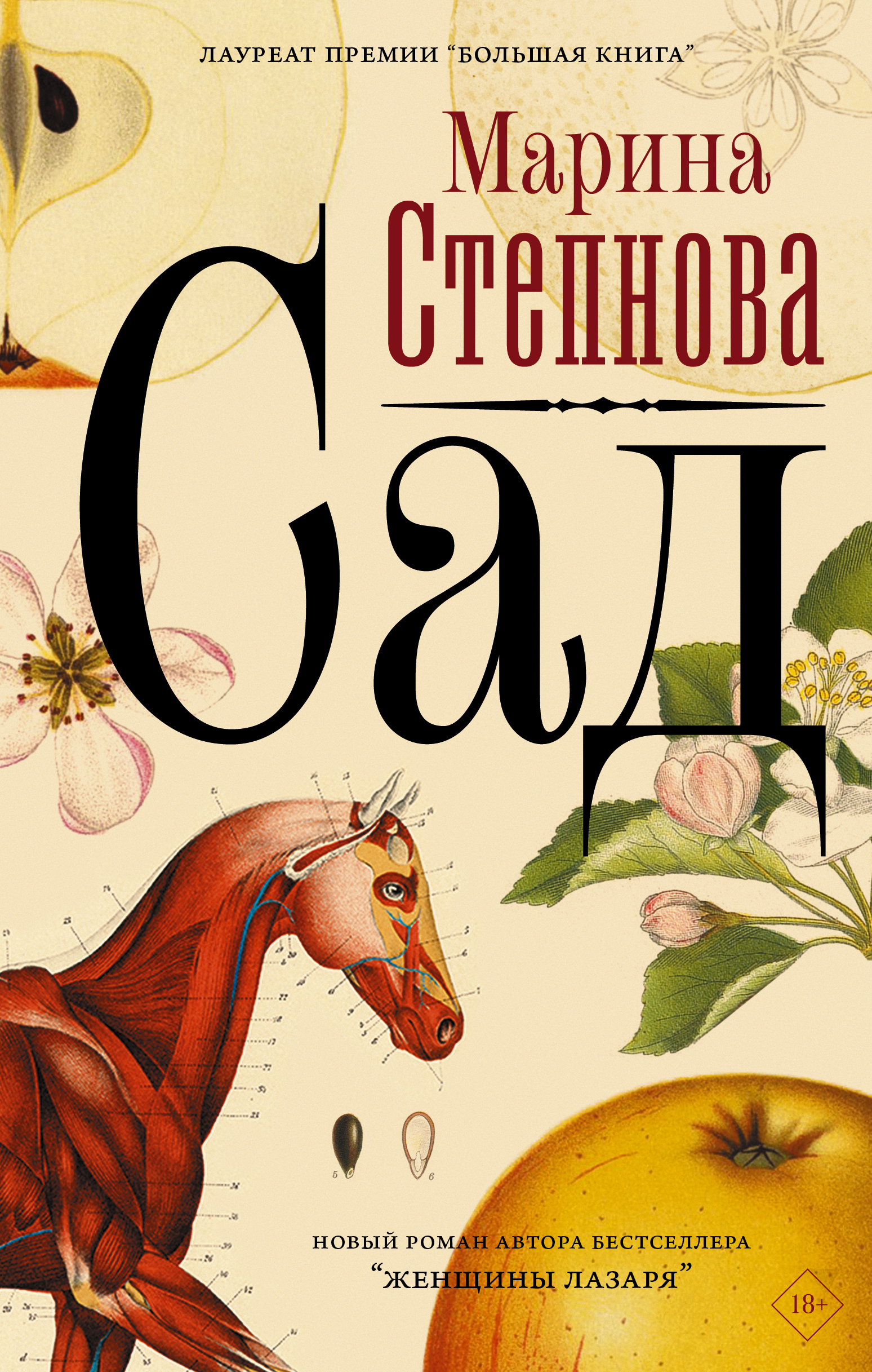 Женщины лазаря полностью. Степнова сад книга. Сад книга Марины Степновой.