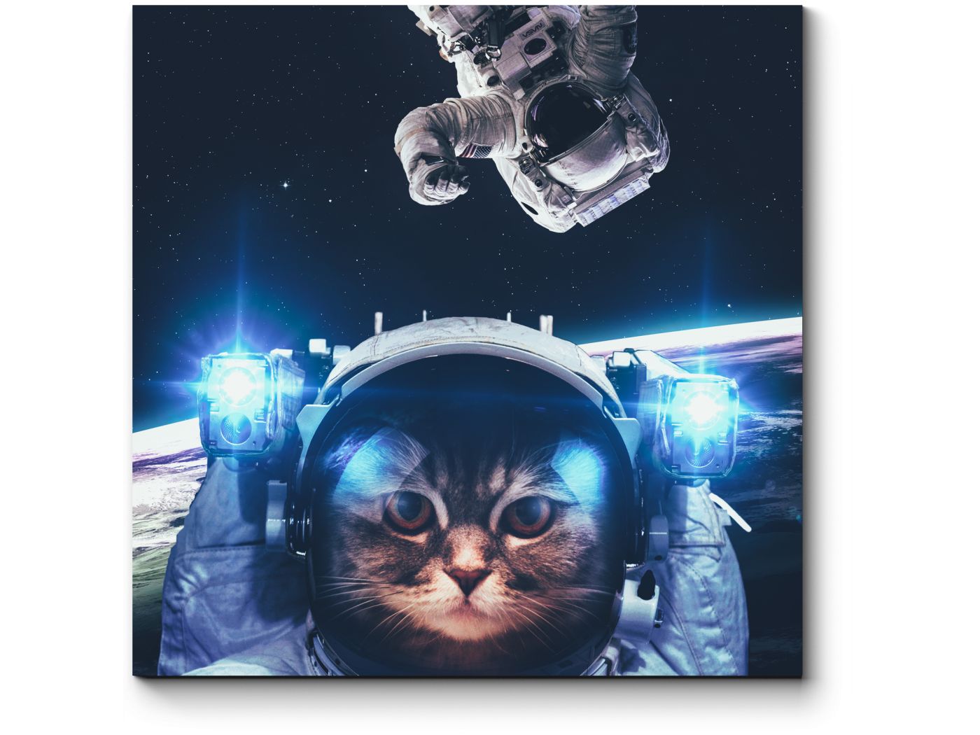Грустный кот космонавт