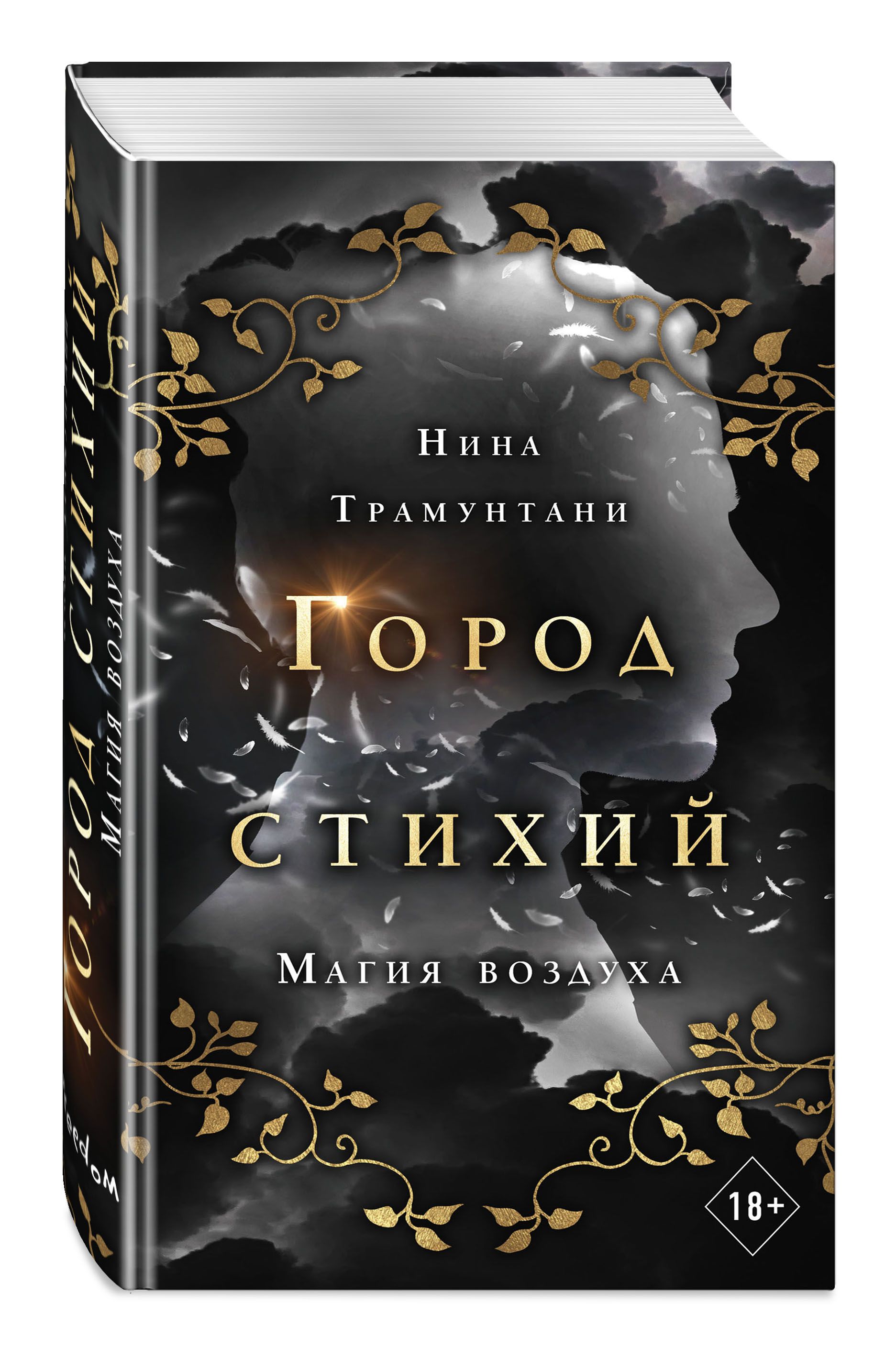 Заклинания воздуха. Магия обложка. Магия воздуха книга. Город стихий книга.