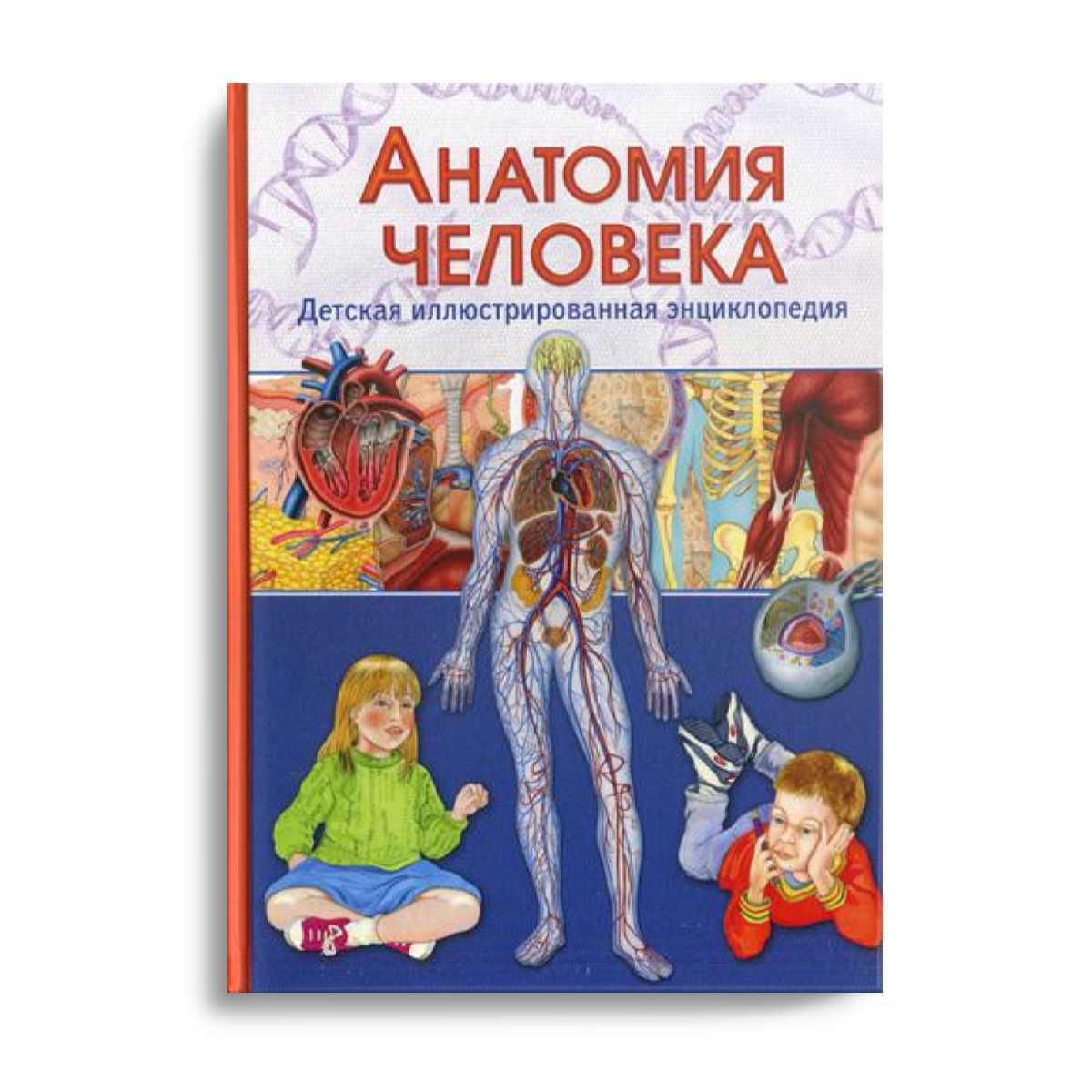 Анатомия Человека Книга Купить