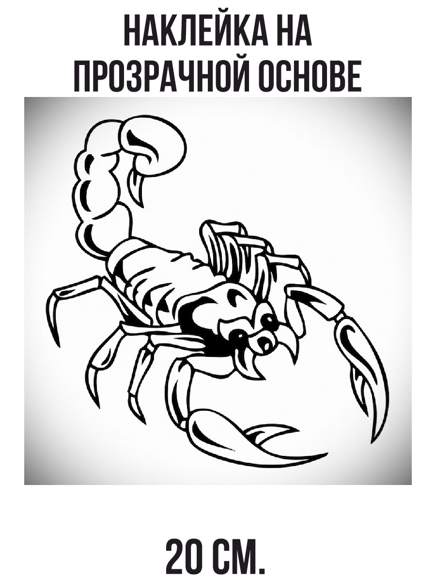 Наклейки на авто Скорпион членистоногие - купить по выгодным ценам в  интернет-магазине OZON (710974857)