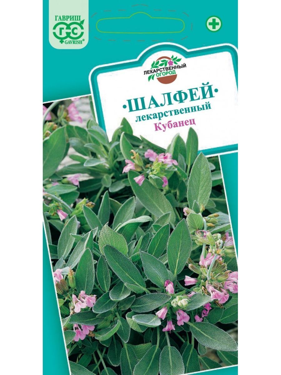 Шалфей Семенами Цена