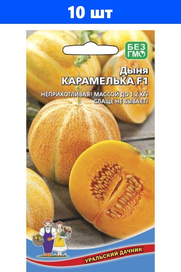 дыня карамелька f1. семена дыня карамелька f1. дыня карамелька f1 уральский дачник. дыня карамелька уральский дачник. дыня карамелька.