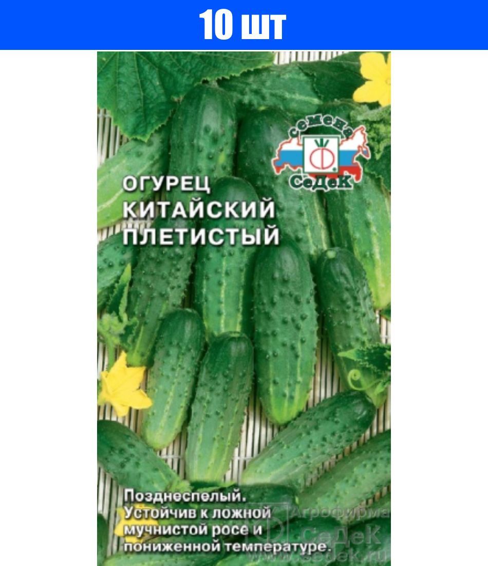 Огурец китайский описание сорта фото. Огурец китайский плетистый 0,5г СЕДЕК. Огурцы китайские сорта для открытого грунта СЕДЕК. Сорта китайских огурцов 8113. Сорта китайских огурцов для открытого грунта.