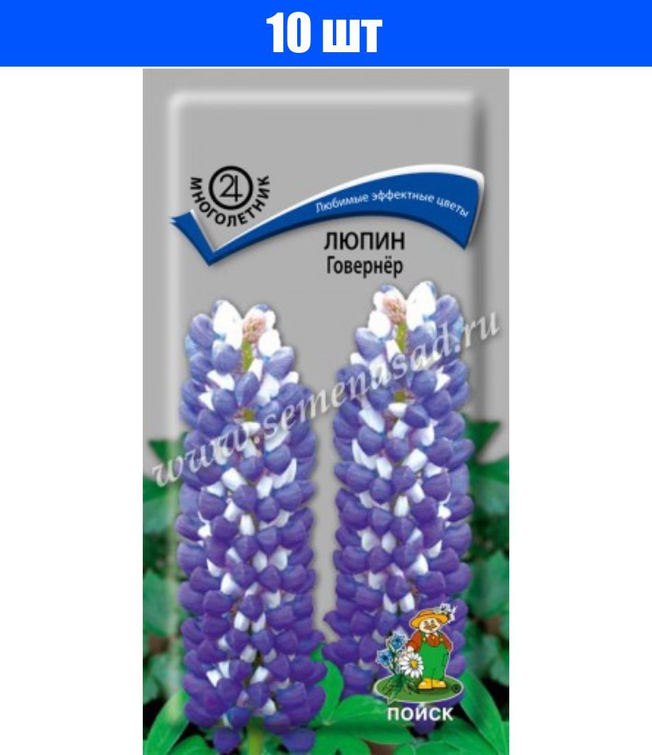 Люпин пейджес описание. Семена люпин минарет. Семена люпин минарет. Люпин рассела гавриш. Люпин какие семена.