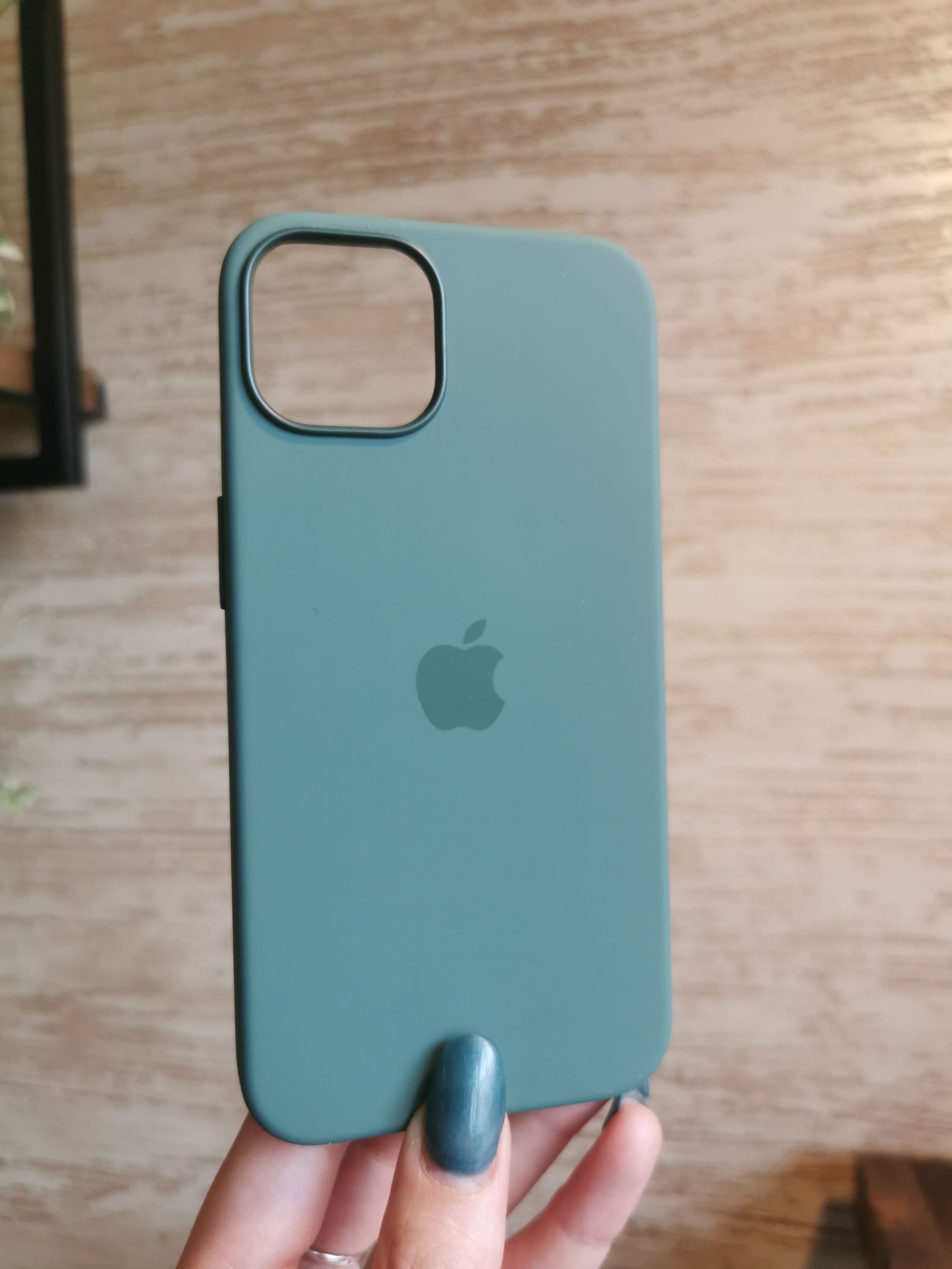 Чехол apple iphone 13 silicone case magsafe. Case iphone 13 Eucalyptus. Чехол iphone 13 Silicone Case. Silicon Case iphone 13. Чехол Apple iphone 13 Pro Max Silicone Case MAGSAFE Blue Jay.