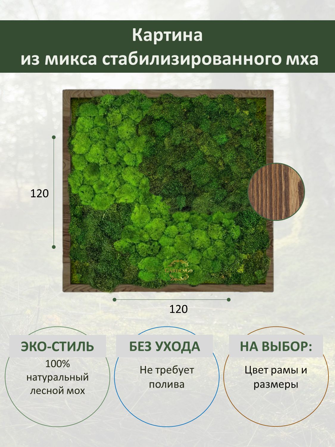 Технологическая карта урока. Мхи