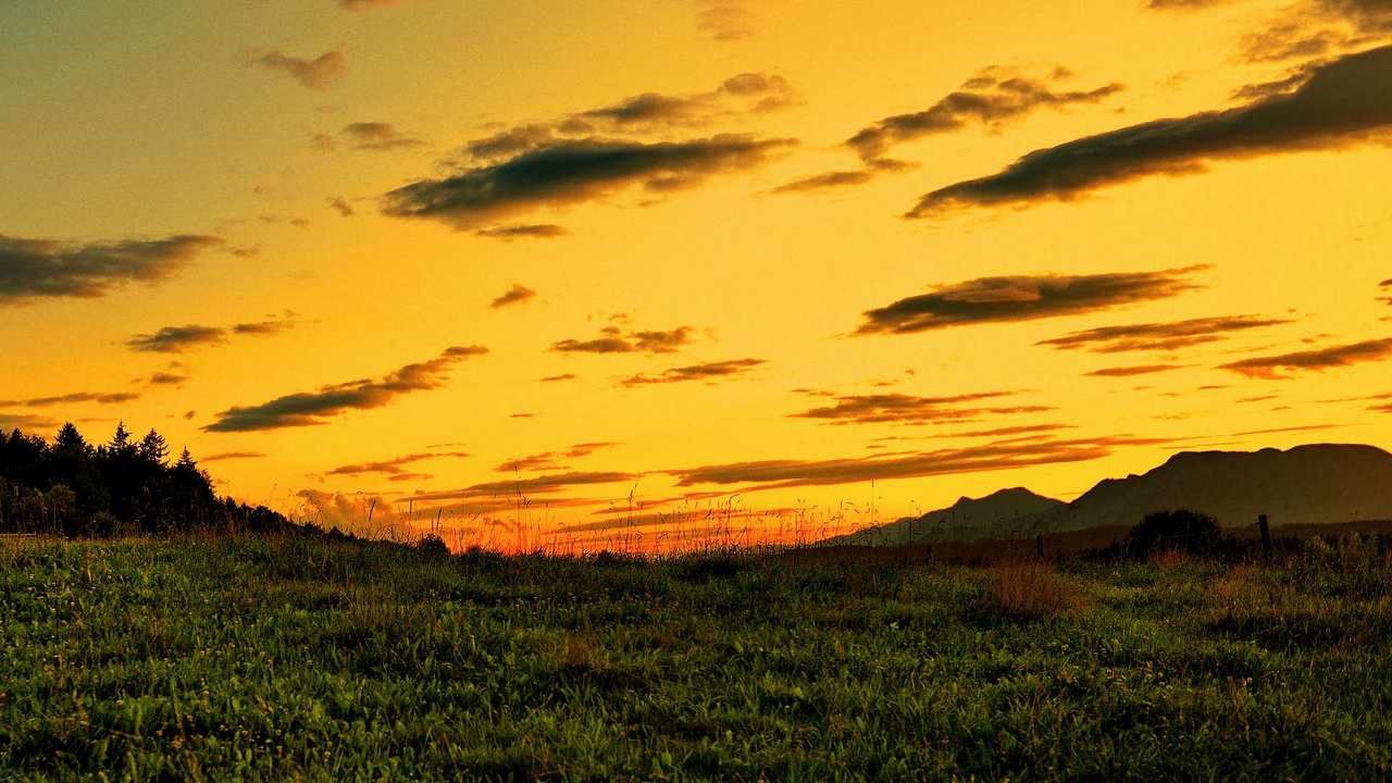 File:Yellow clouds before thunderstorm 3.JPG - Wikipedia