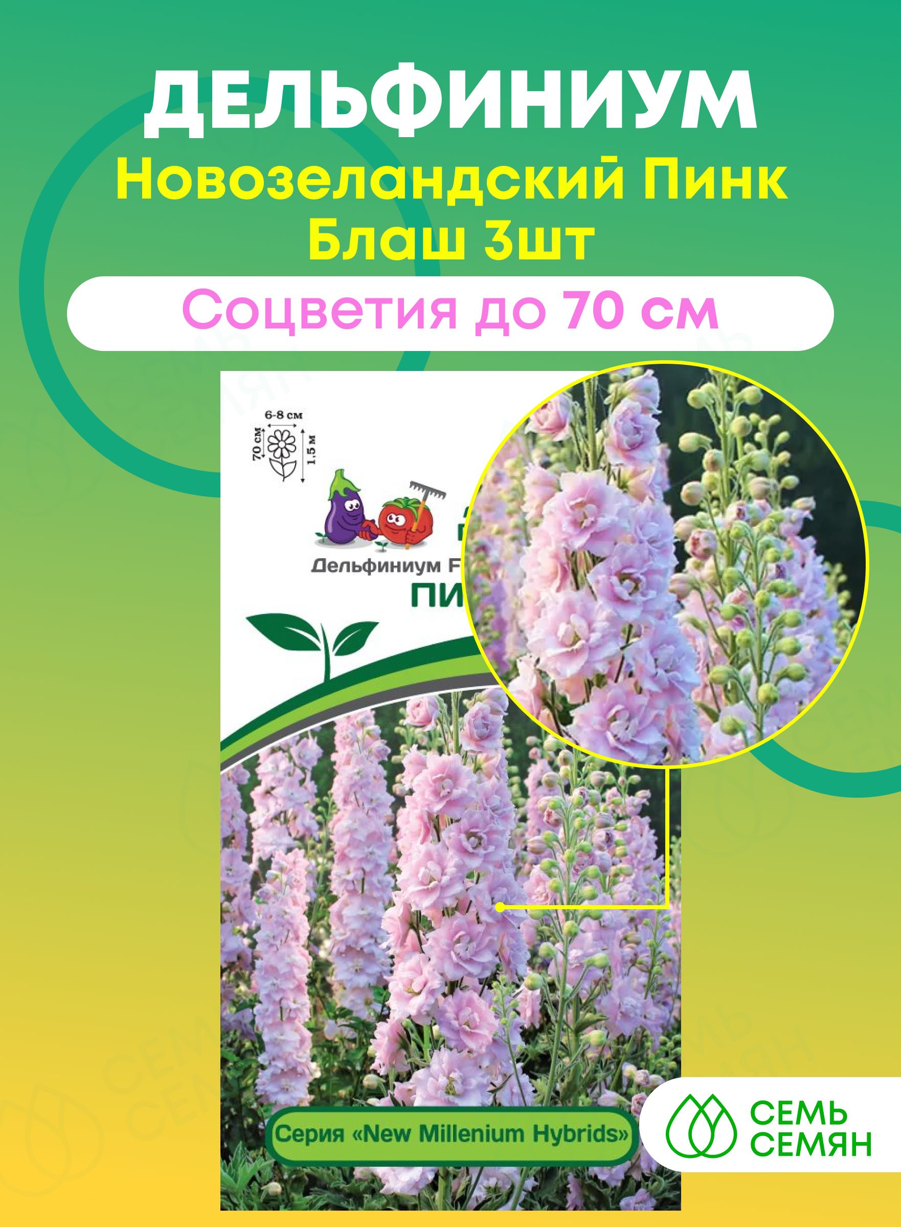Семена Партнер Дельфиниума Купить