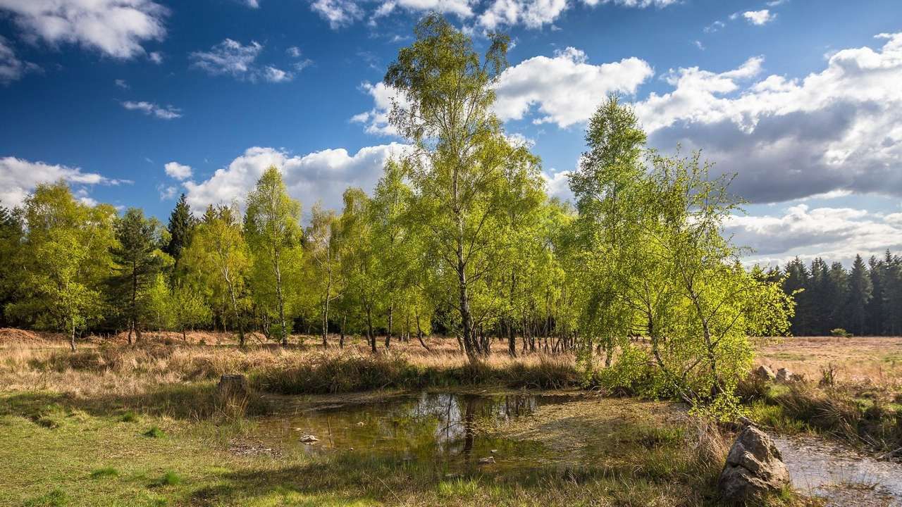 Видео с природой телеграмм фото 117