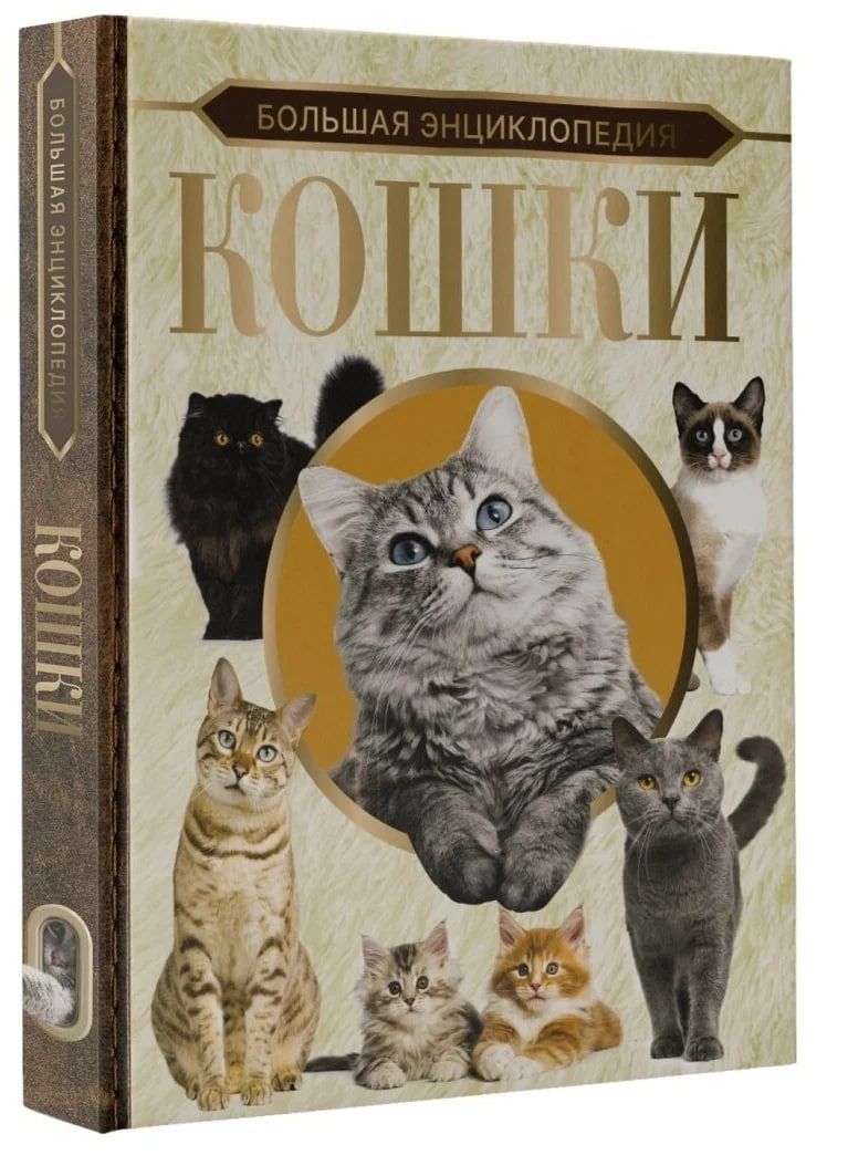 Энциклопедия кошек картинки