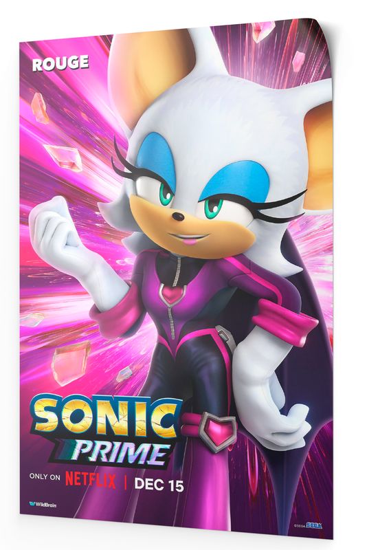 Figuras Sonic Prime Netflix d'occasion pour 8 EUR in Mairena del Aljarafe  sur WALLAPOP