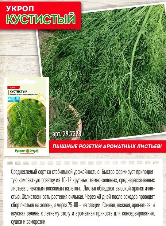 Укроп магазинный. Укроп лето 50г. Фото укропа сорта кустистый. Укроп магазин. Интересные факты об укропе.