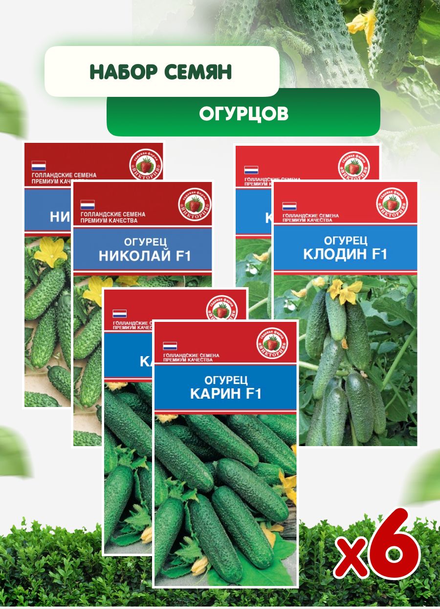 Огурец Виктория Семена Купить В Смоленске