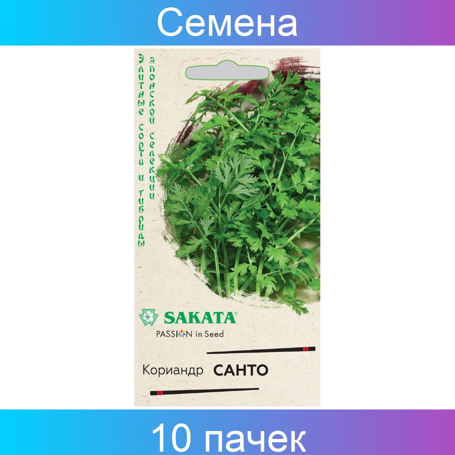 Семена Кинзы Купить