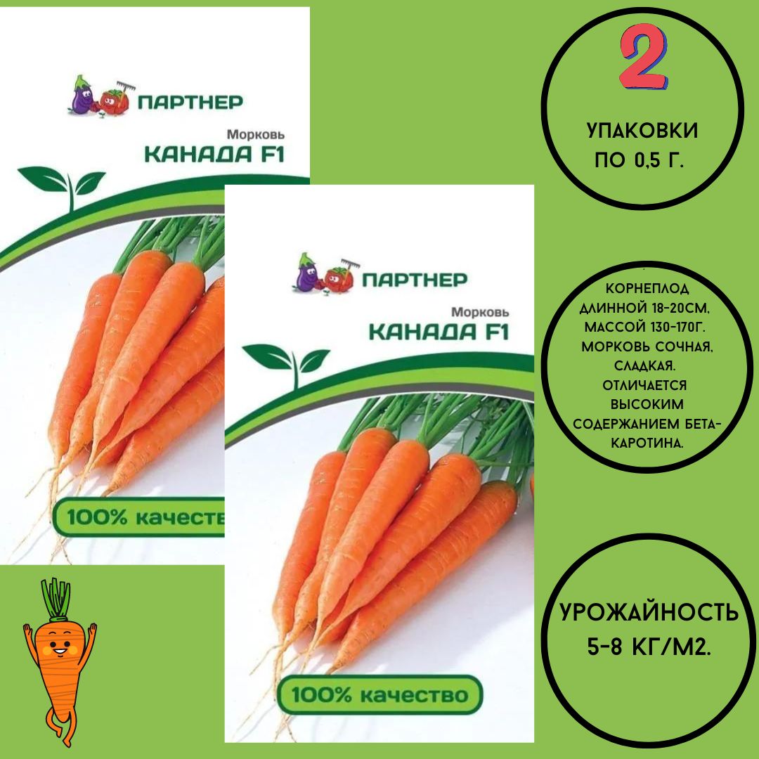 морковь канада описание