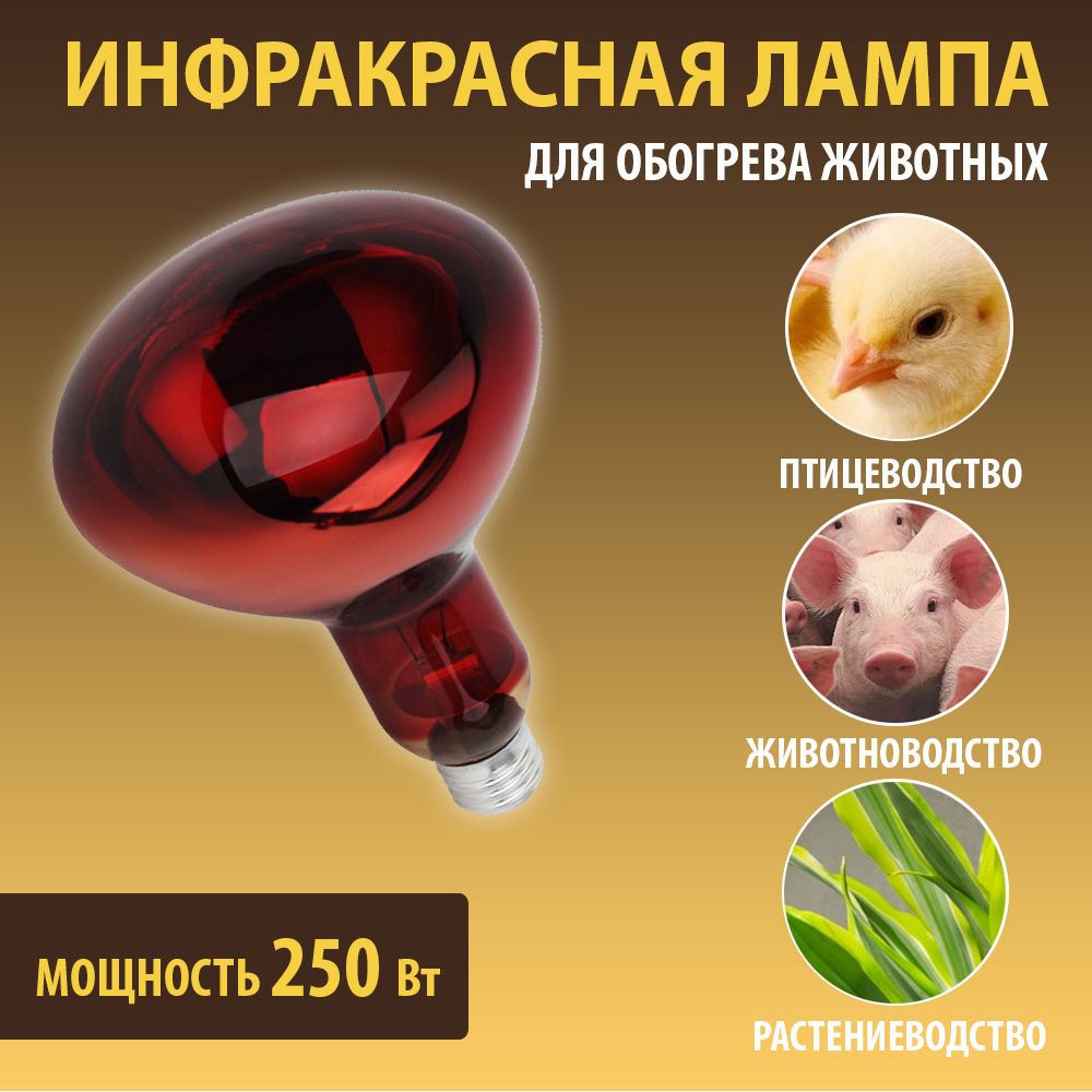 Лампа Красная Для Обогрева Курятника Купить