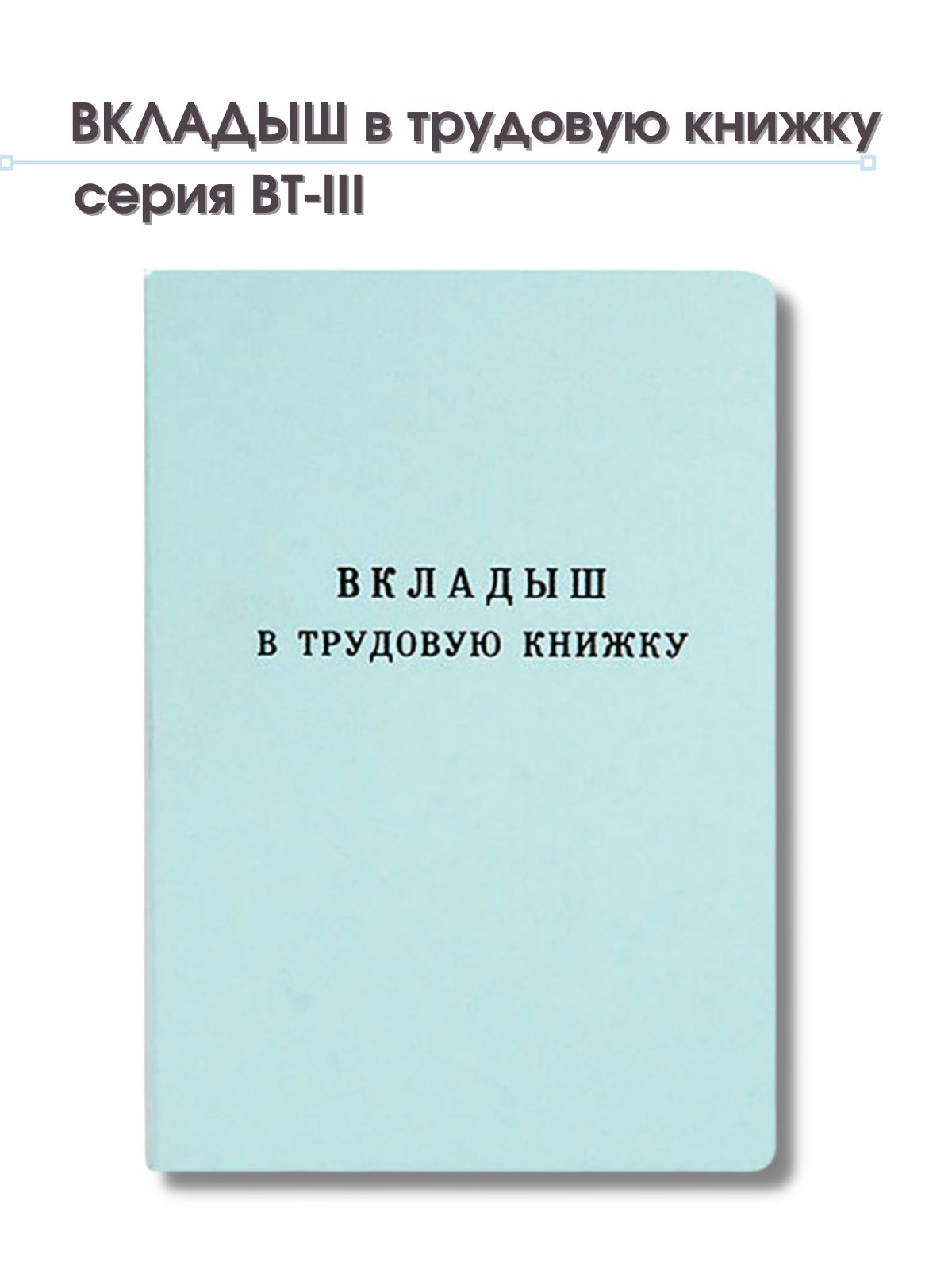 Бланк бухгалтерский, Гознак - купить по выгодной цене в интернет-магазине  OZON (853253145)