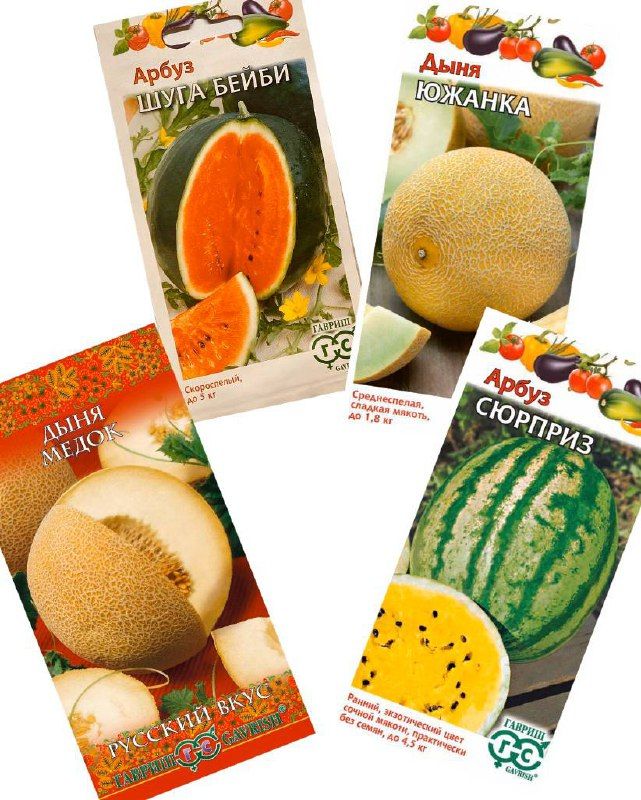 дыня сладкоежка отзывы. набор арбузов. наборы с арбузами. картинки целый арбуз с листьями для детей. антистресс жмяка арбуз.