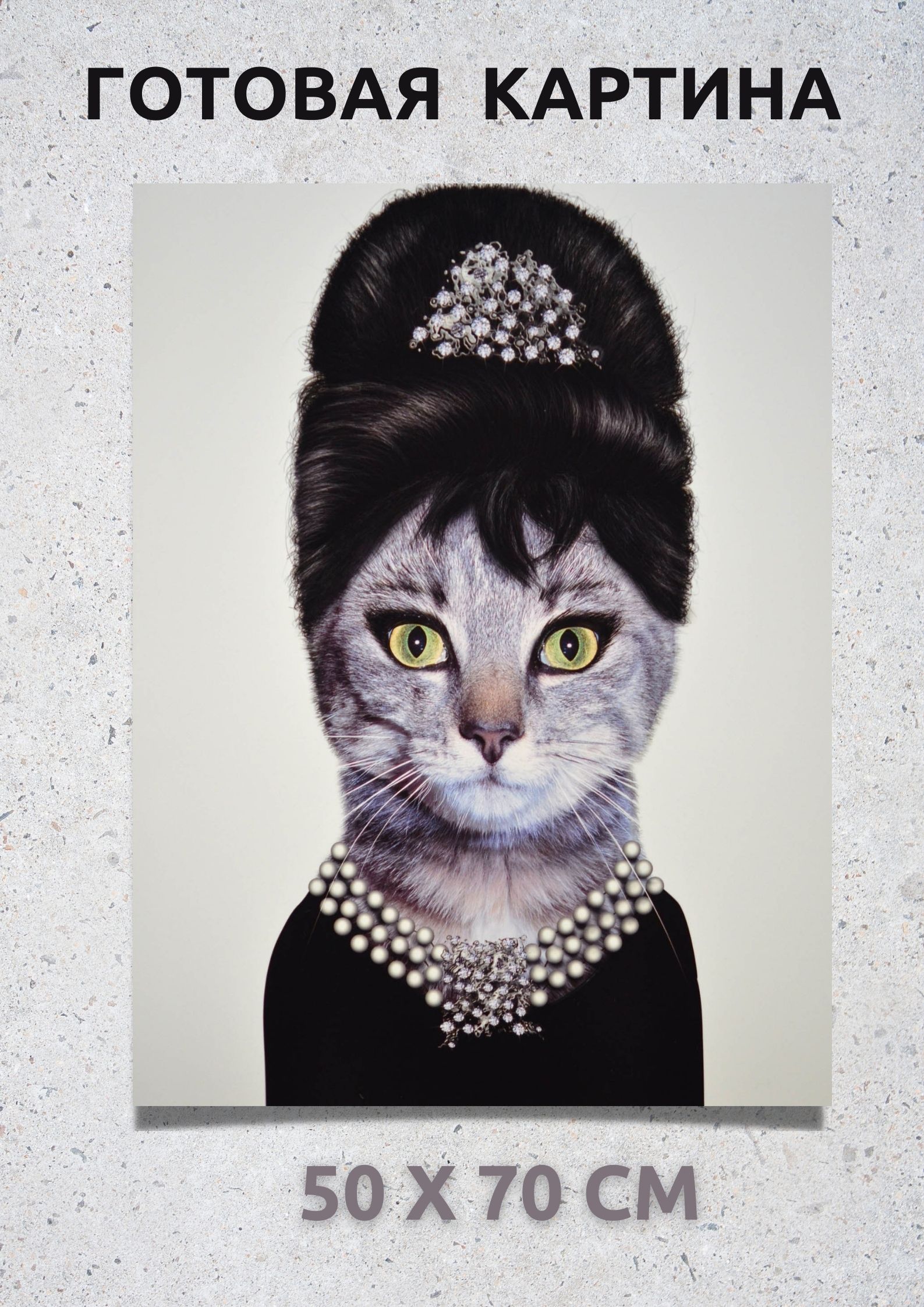 Лицо кисы. Кошка Одри Хепберн. Одри Хэпберн с кошкой. Модная кошка. Элегантные коты.