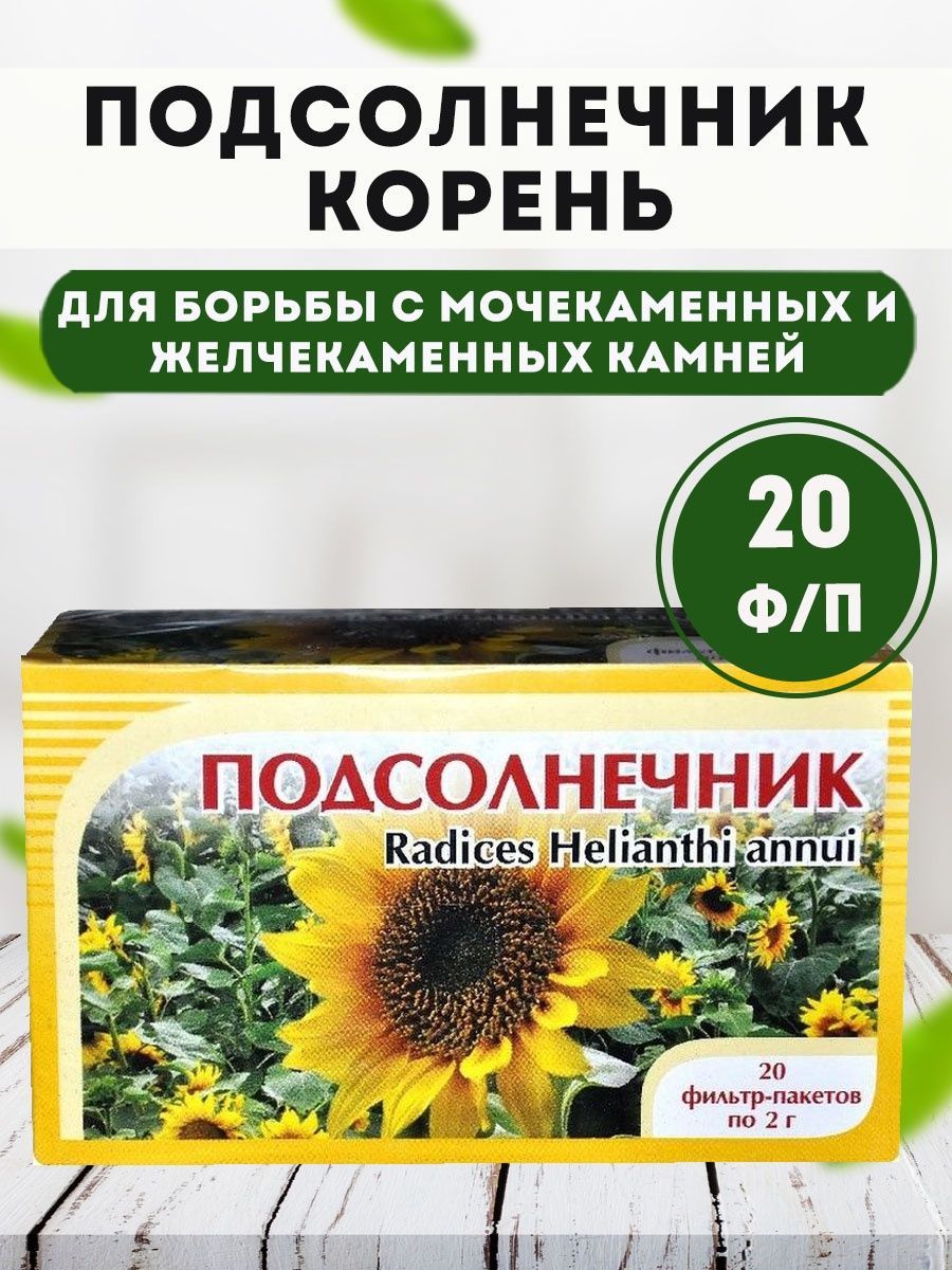 Корень Подсолнуха Купить