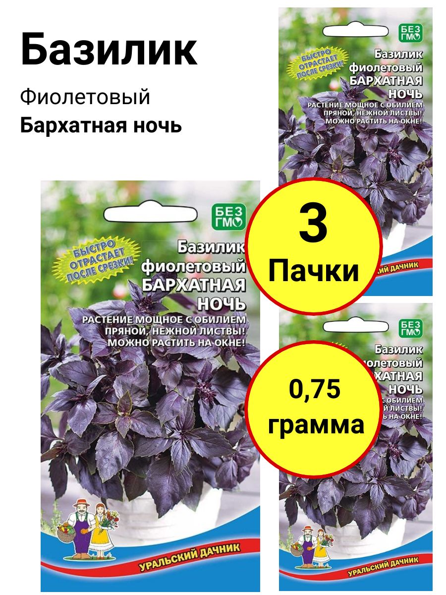 Базилик Уральский дачник Базилик фиолетовый Бархатная ночь - купить по выгодным ценам в интернет-магазине OZON (875044545)