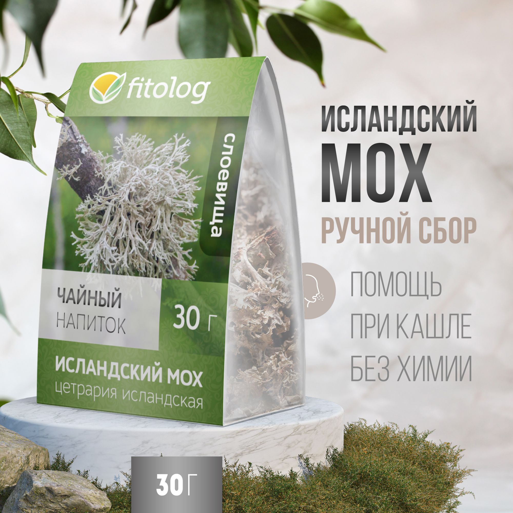 Исландский мох 30 г Fitolog / От кашля, бронхита / Травяной сбор, трава -  купить с доставкой по выгодным ценам в интернет-магазине OZON (886167956)