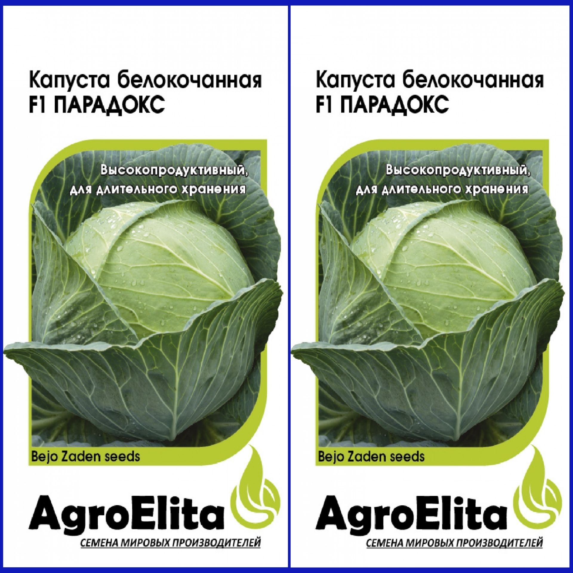 Хранение капусты белокочанной