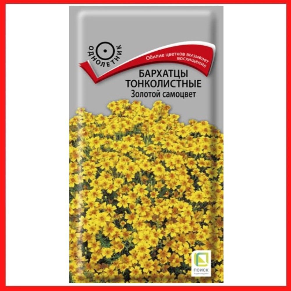 Бархатцы Синие Купить Семена