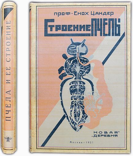 Строение пчелы: Пчела и ее строение. 1927 / Цандер Енох, проф.