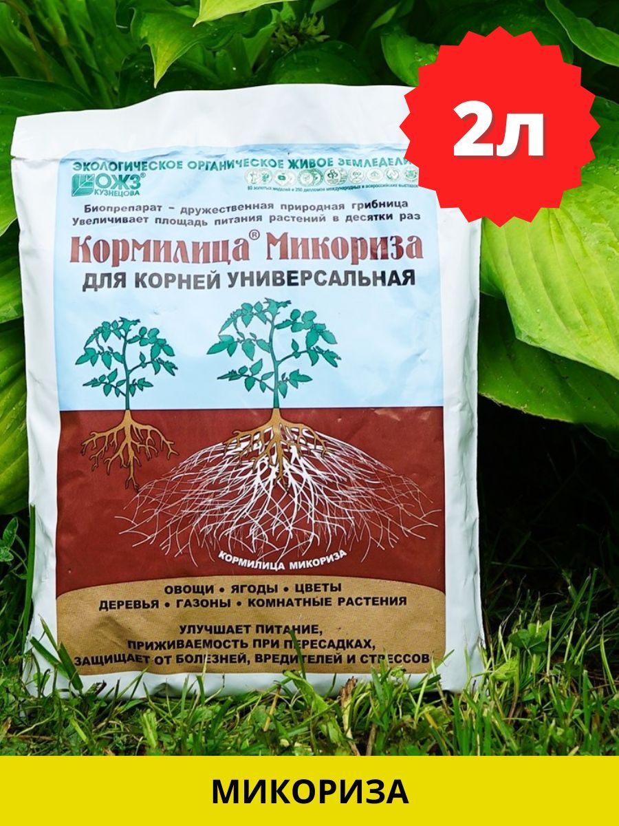 Кормилица микориза как использовать. Удобрение микориза кормилица 1 л. кормилица микориза 1л.