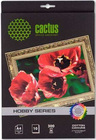 Холст Cactus CS-CA426010 A4/260г/м2/10л. для струйной печати