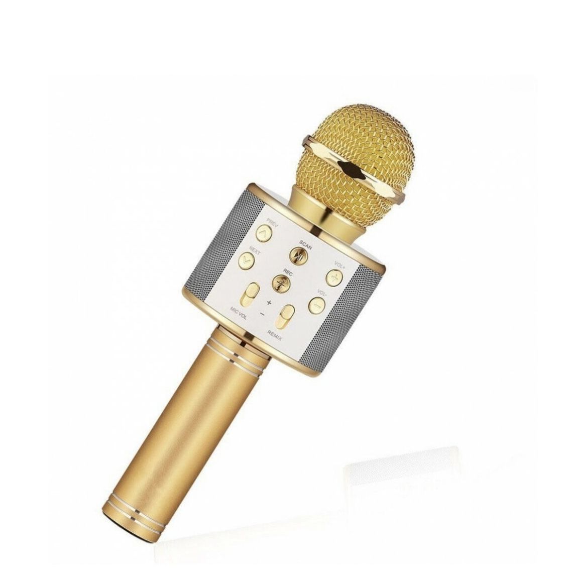 Wireless microphone hifi speaker