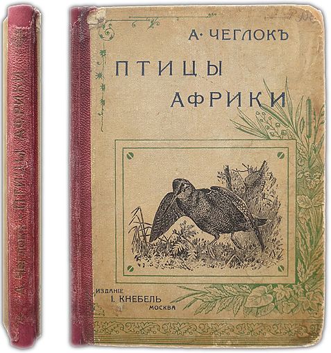 Птицы Африки. 1915 / Чеглок А. | Чеглок А.