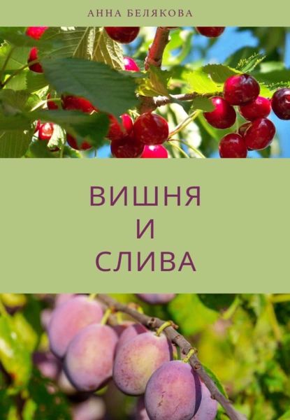 Вишня и слива | Белякова Анна Владимировна | Электронная книга