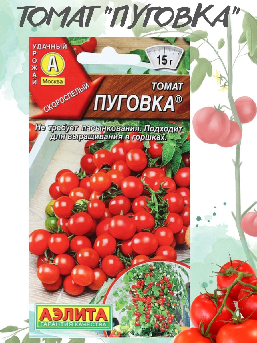 Томат пуговка отзывы фото. Сорт томата Пуговка. Томат Пуговка 0,05гр /10. Томат Пуговка описание.